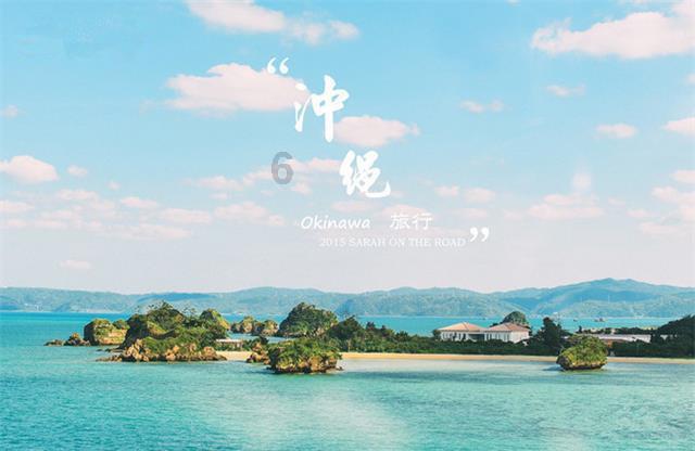 动物帮帮忙保卫家园